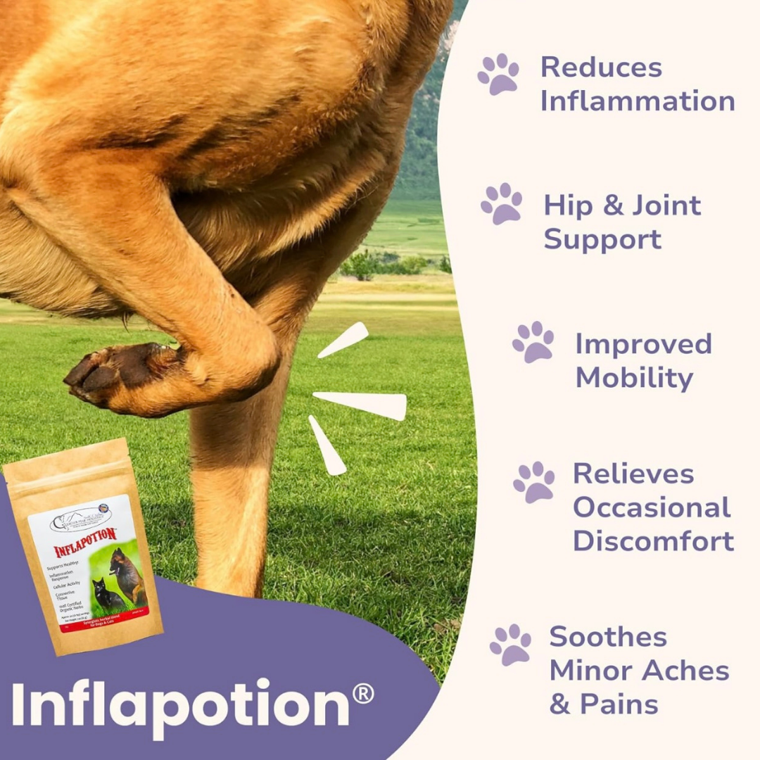 Glacier Peak Inflapotion Powder | Anti-Inflammatory