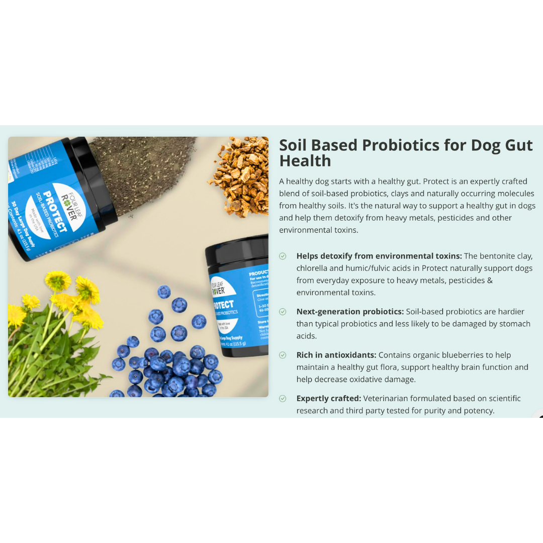 Four Leaf Rover Protect | Soil Based Probiotics + Detox Support