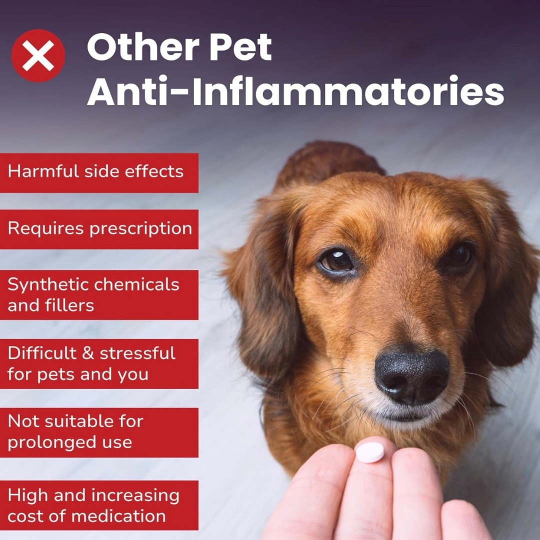 Glacier Peak Inflapotion Powder | Anti-Inflammatory