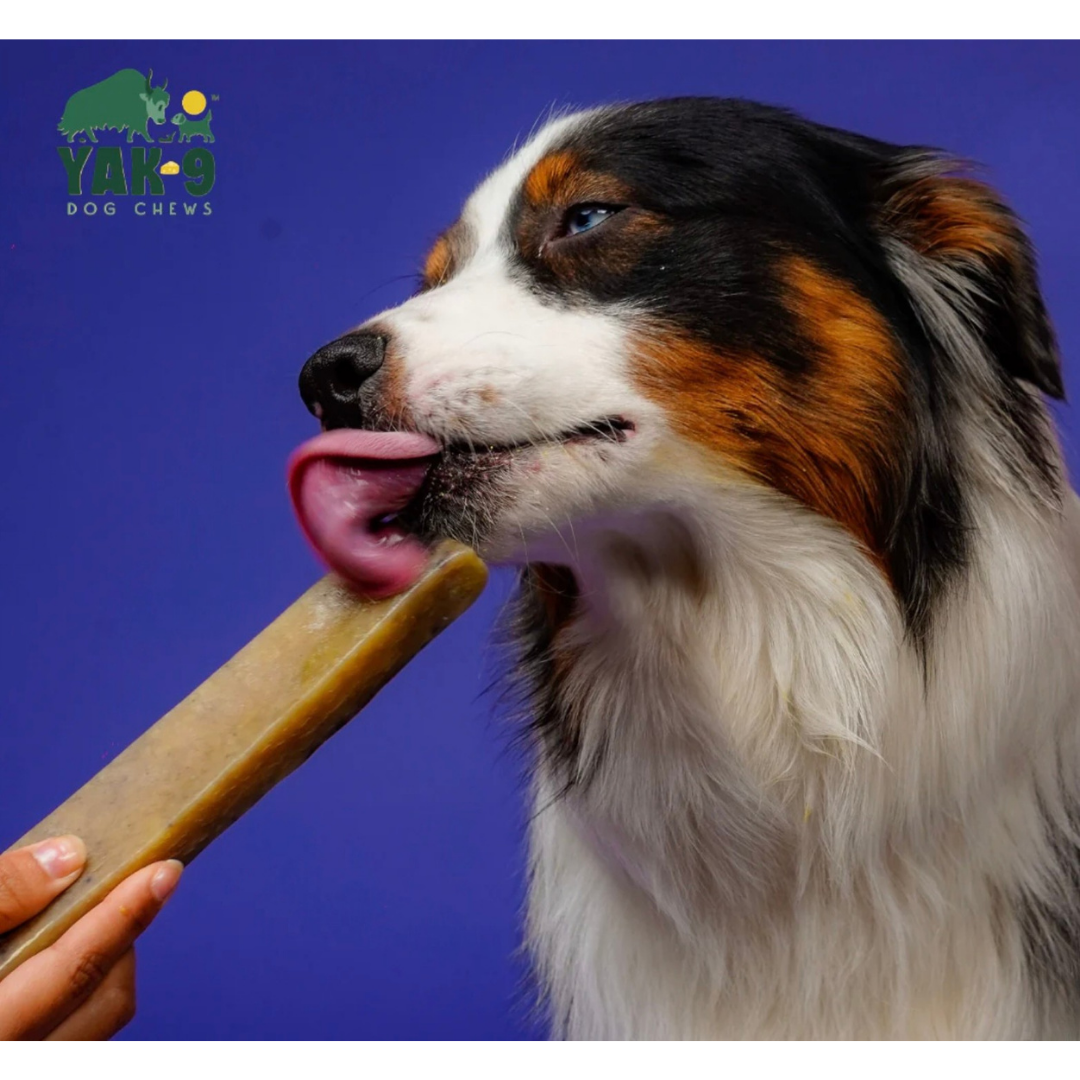 Yak9 Yak Chew | Blueberry