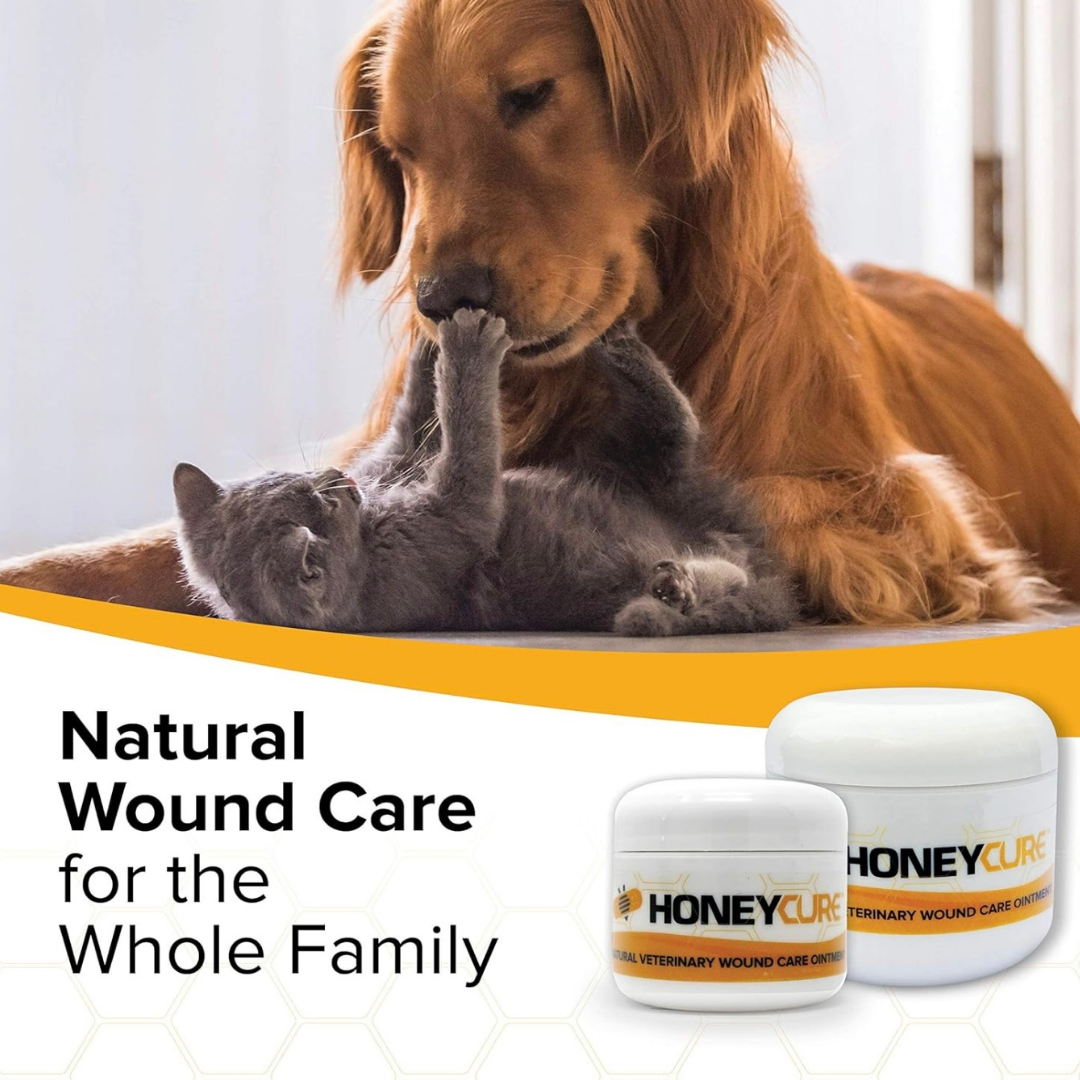 HoneyCure Jar | Manuka Honey Skin Care