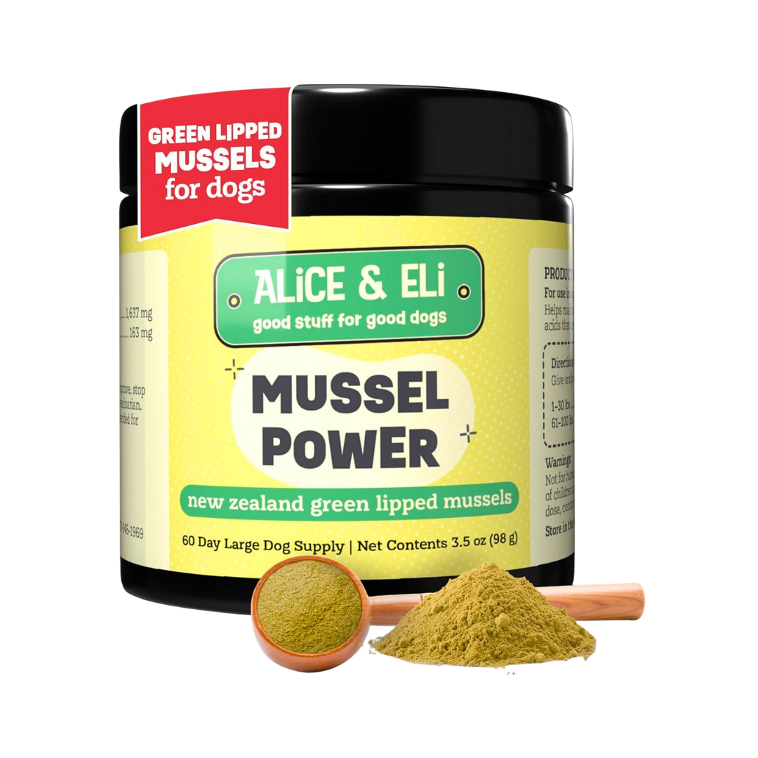 Alice & Eli Green Lipped Mussel Powder | Joint + Anti-Inflammatory Support