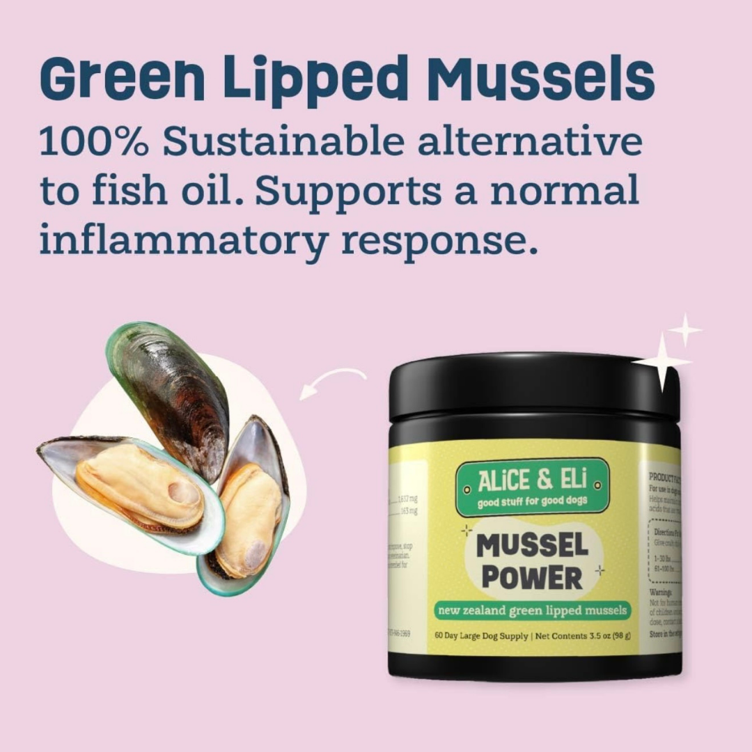 Alice & Eli Green Lipped Mussel Powder | Joint + Anti-Inflammatory Support