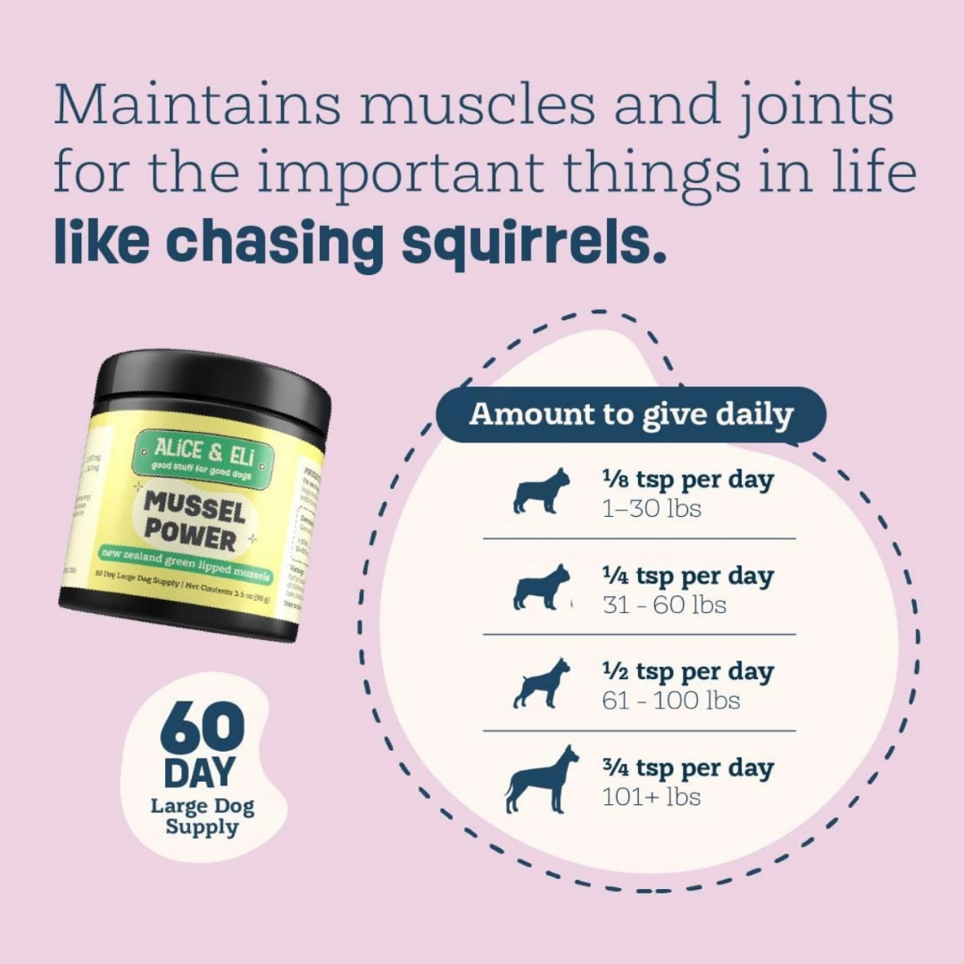 Alice & Eli Green Lipped Mussel Powder | Joint + Anti-Inflammatory Support