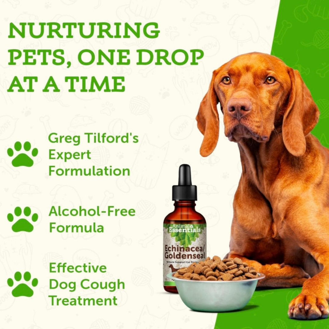 Animal Essentials Echinacea/Goldenseal | Immune Boost + Seasonal Wellness