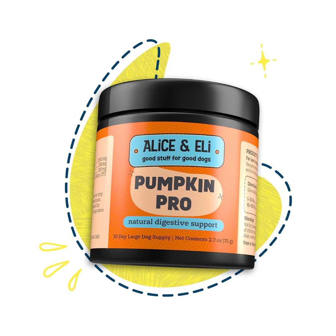 Alice & Eli Pumpkin Pro | Digestive Support + Fiber Boost