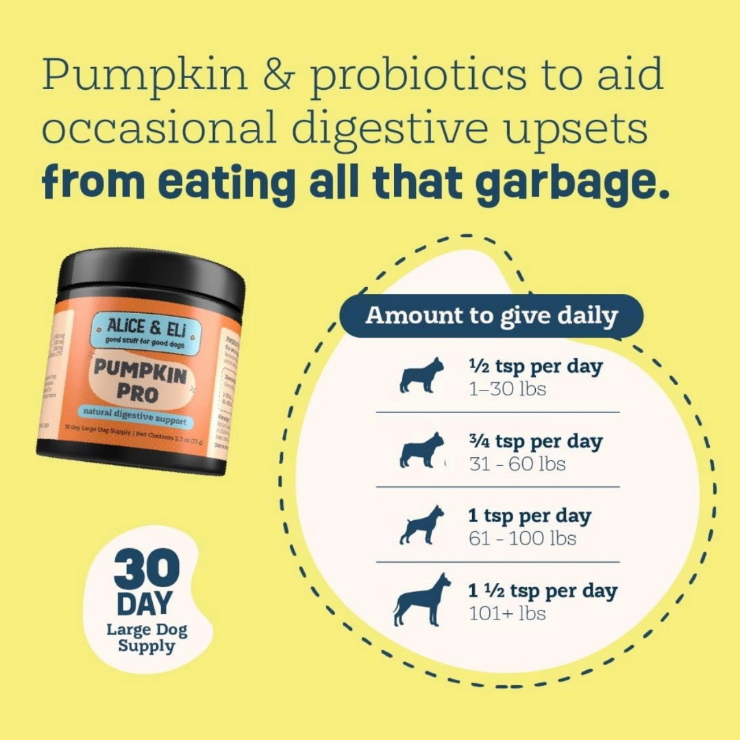 Alice & Eli Pumpkin Pro | Digestive Support + Fiber Boost