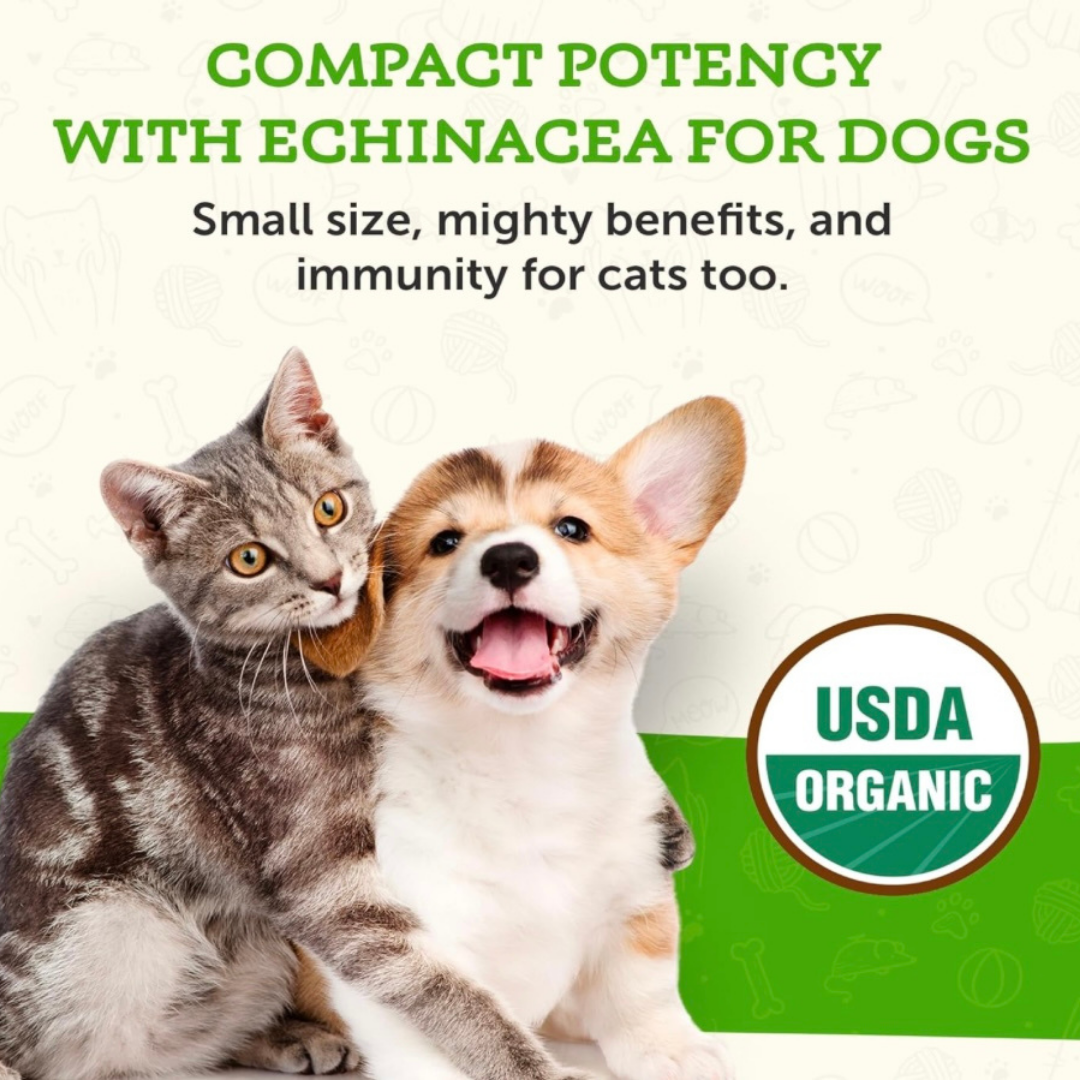 Animal Essentials Echinacea/Goldenseal | Immune Boost + Seasonal Wellness