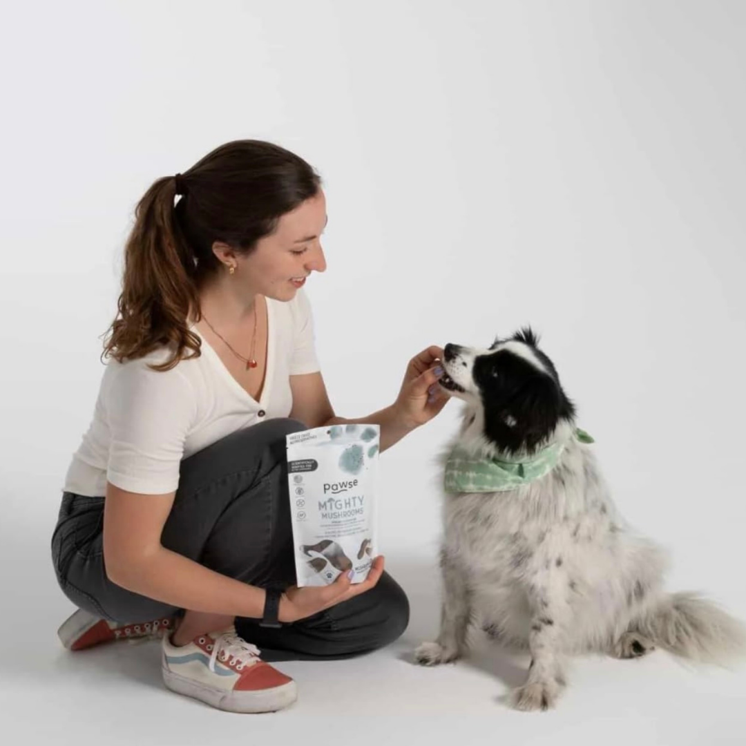 Pawse Mighty Mushrooms | Freeze-Dried Medicinal Mushroom Treats