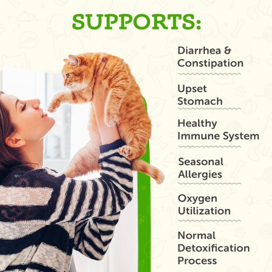 Animal Essentials Echinacea/Goldenseal | Immune Boost + Seasonal Wellness