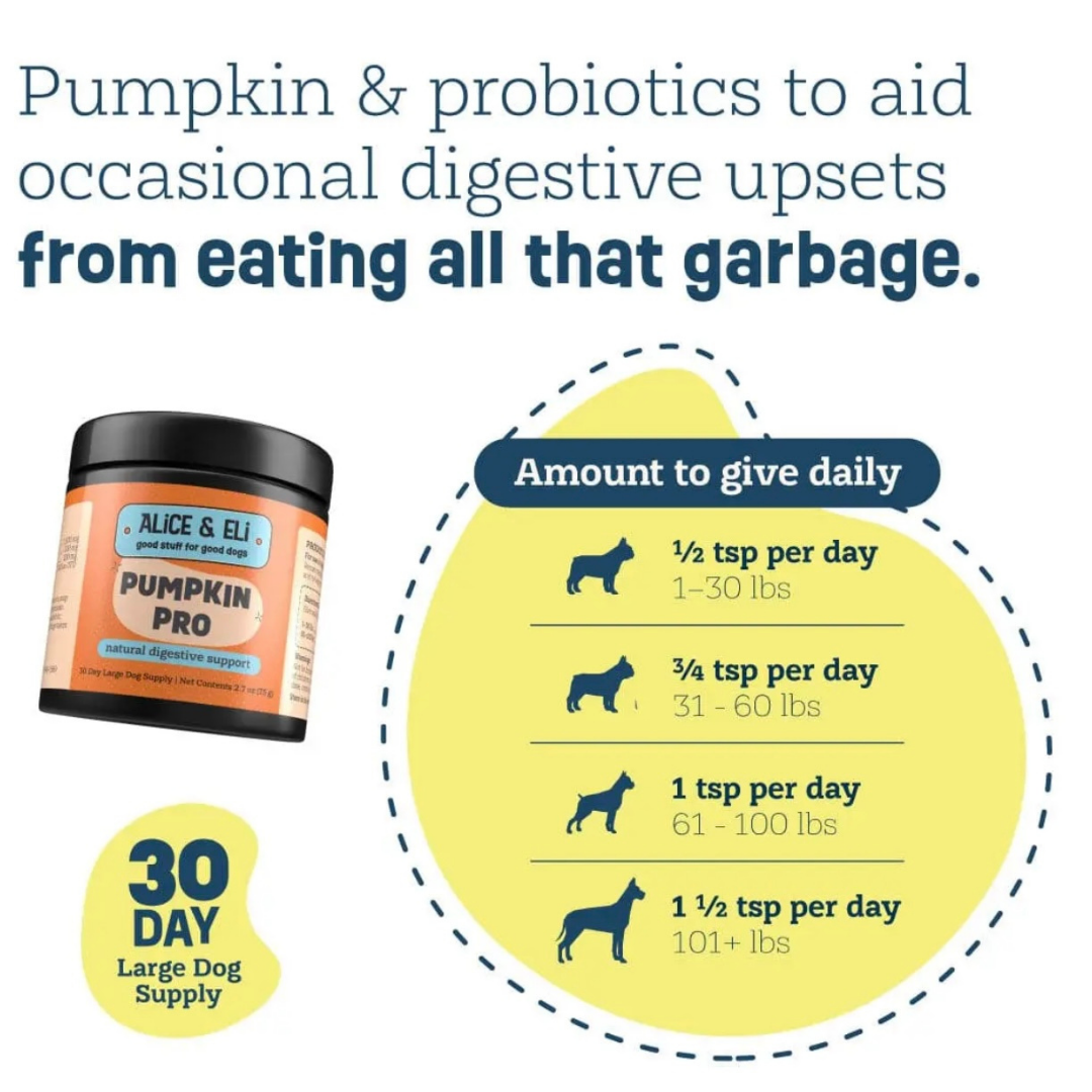 Alice & Eli Pumpkin Pro | Digestive Support + Fiber Boost