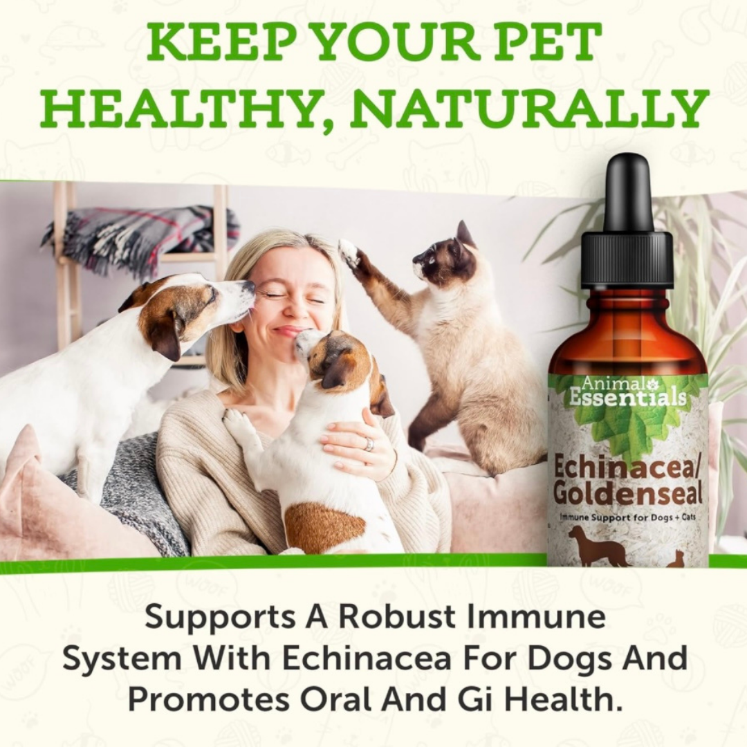 Animal Essentials Echinacea/Goldenseal | Immune Boost + Seasonal Wellness