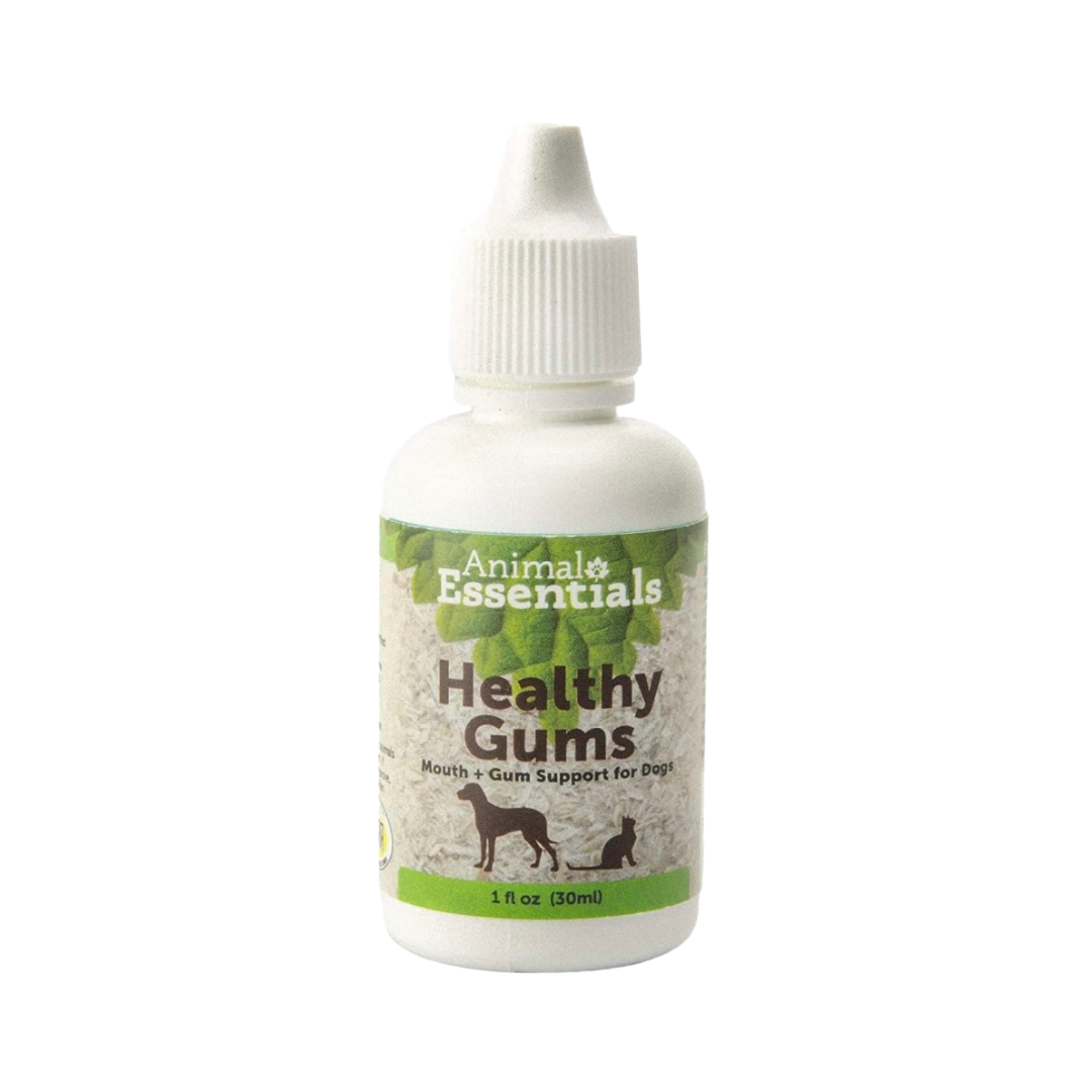 Animal Essentials Healthy Gums | Natural Gum + Dental Support
