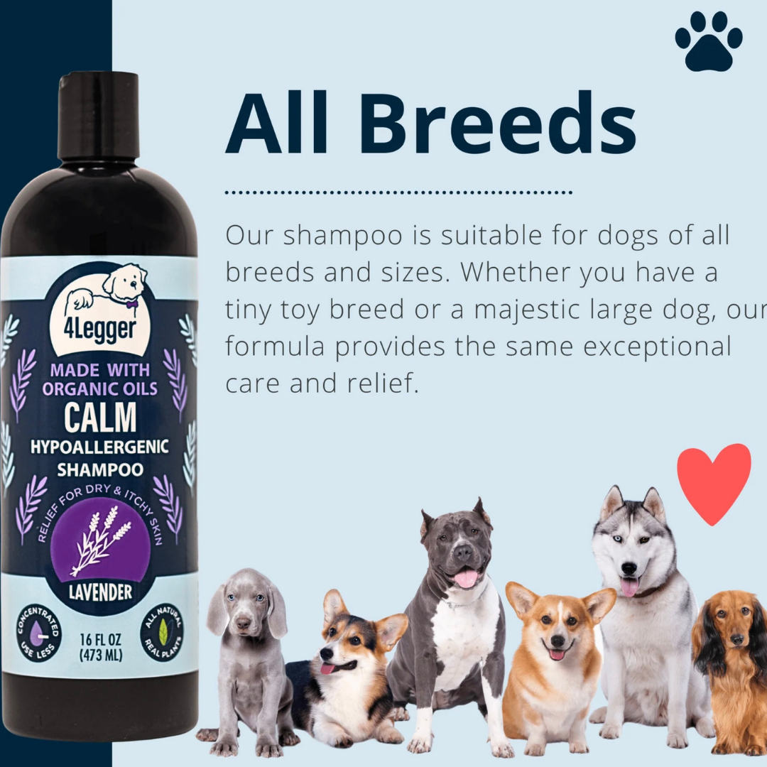 4-Legger Organic Shampoo Calm | Lavender + Calendula