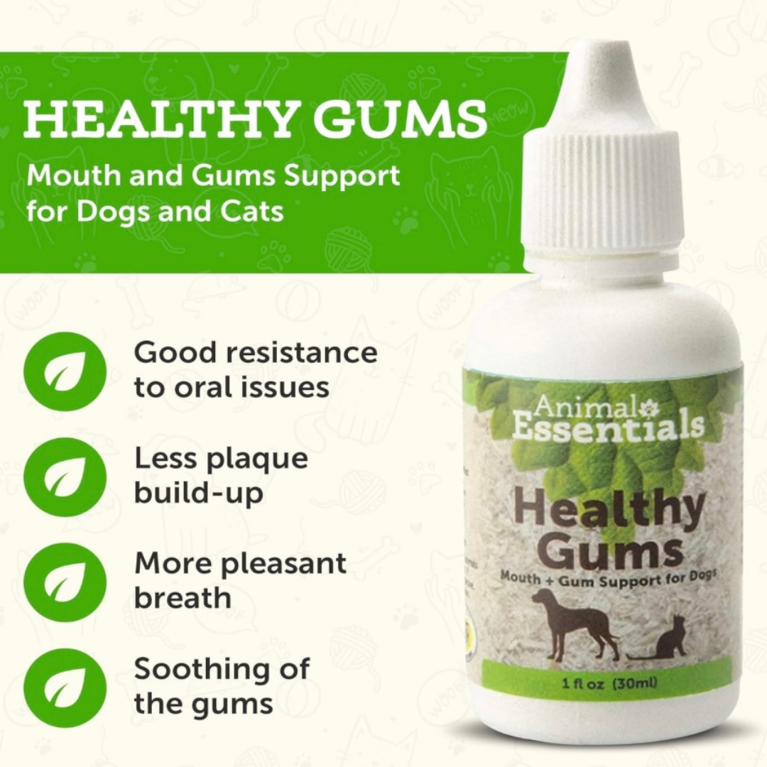 Animal Essentials Healthy Gums | Natural Gum + Dental Support