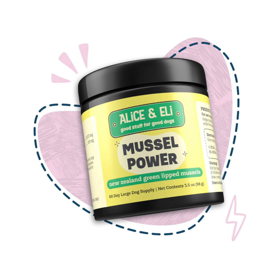 Alice & Eli Green Lipped Mussel Powder | Joint + Anti-Inflammatory Support