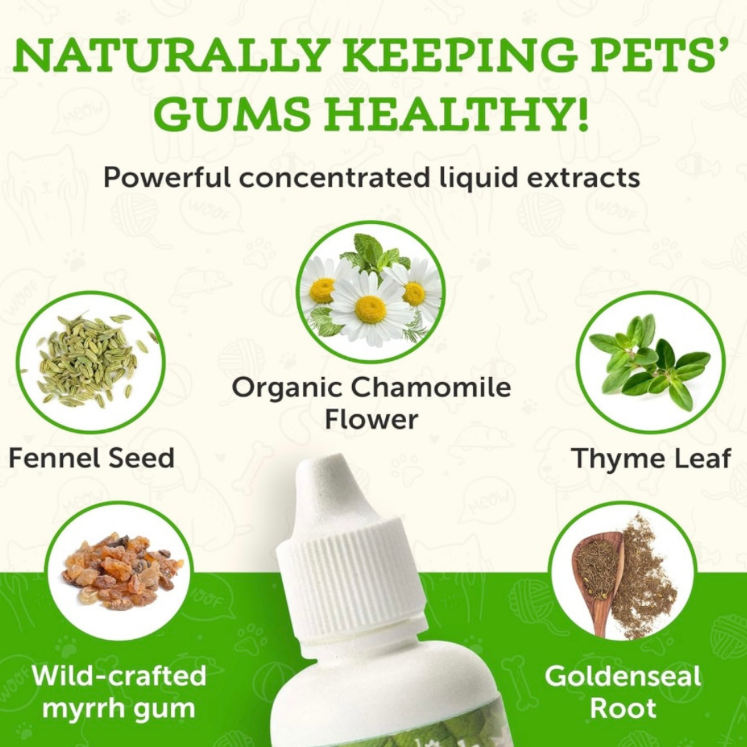 Animal Essentials Healthy Gums | Natural Gum + Dental Support