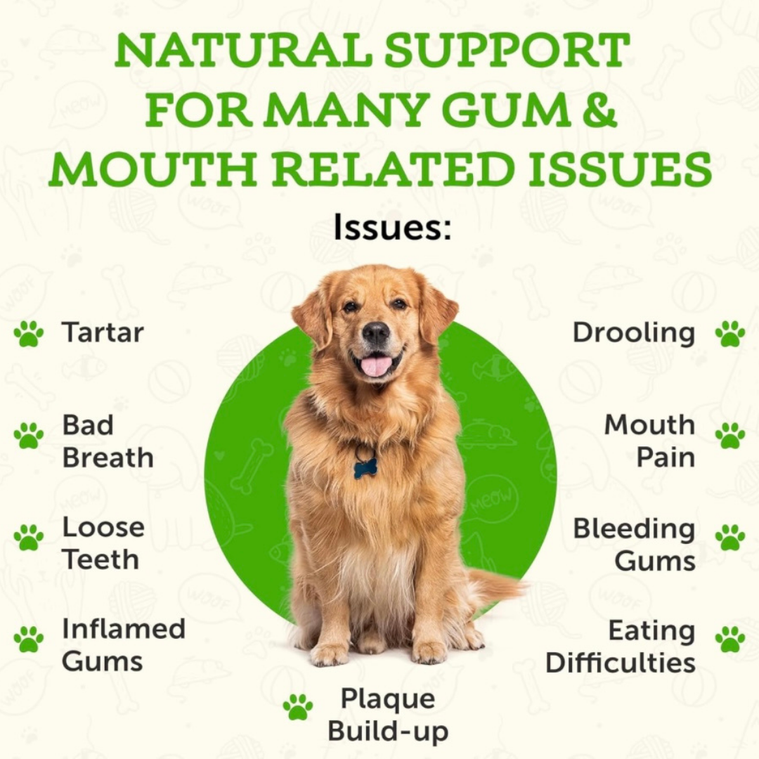 Animal Essentials Healthy Gums | Natural Gum + Dental Support