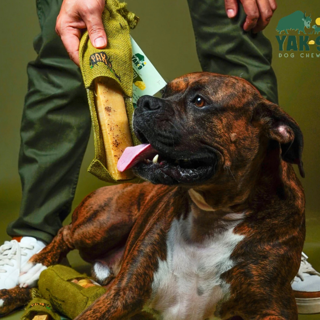 Yak9 Yak Chew | Mint + Flaxseed