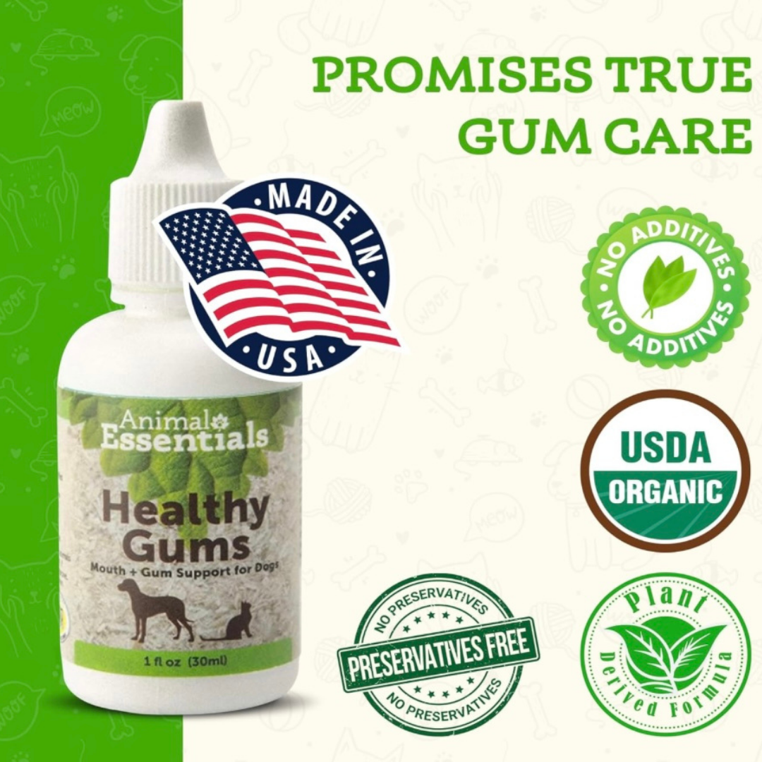 Animal Essentials Healthy Gums | Natural Gum + Dental Support