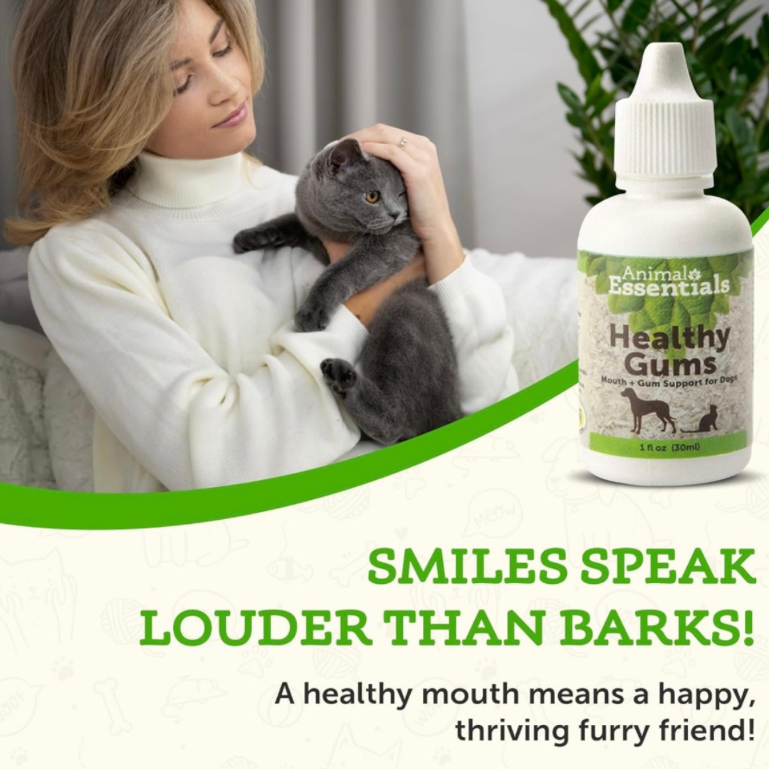 Animal Essentials Healthy Gums | Natural Gum + Dental Support