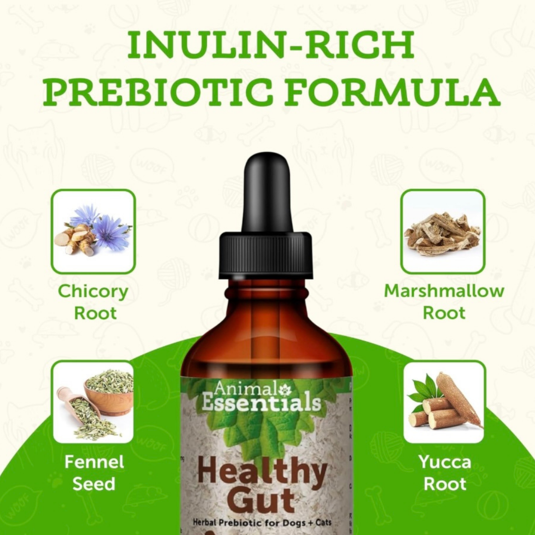 Animal Essentials Healthy Gut | Digestive Health + Microbiome Support