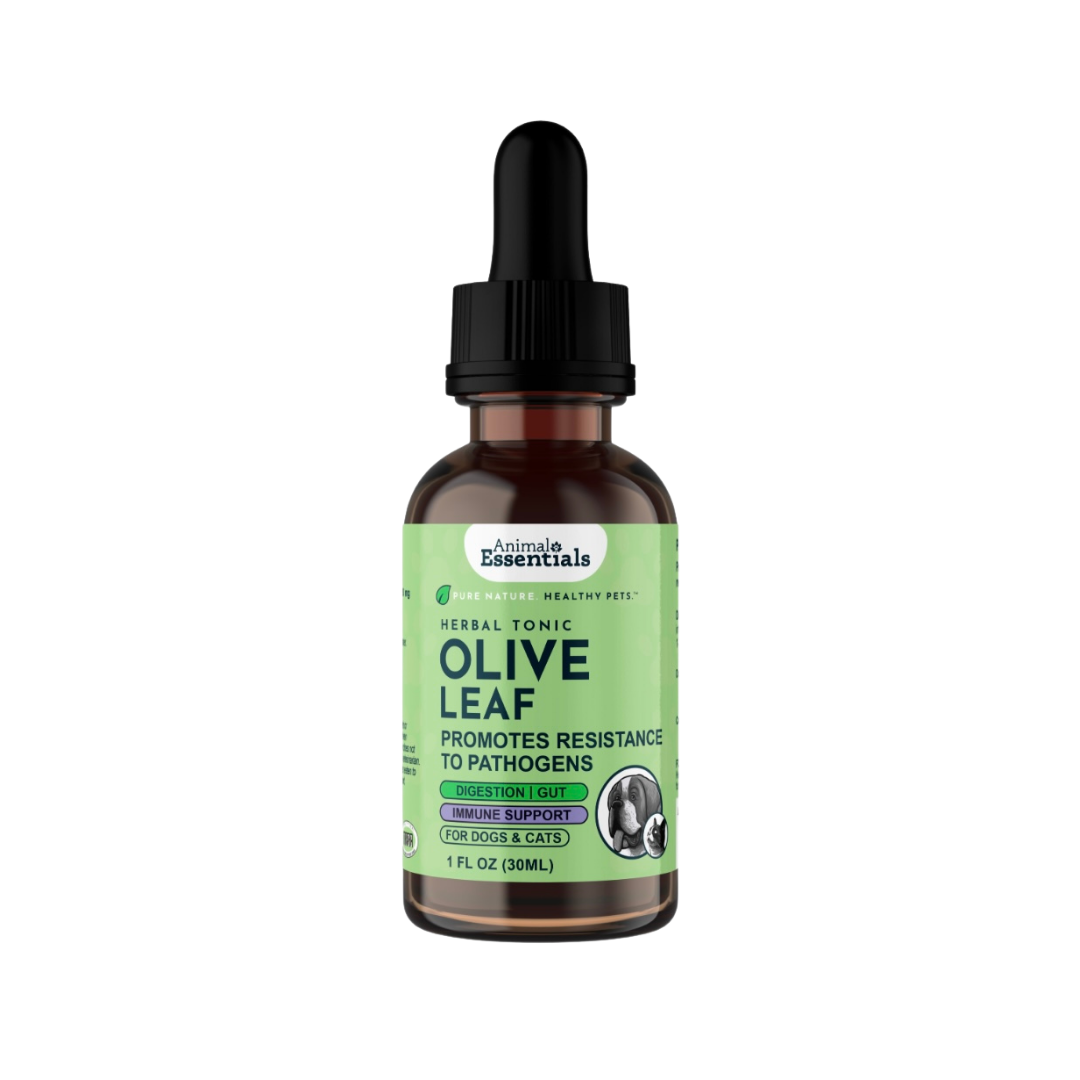 Animal Essentials Olive Leaf | Immune Support + Antimicrobial Defense