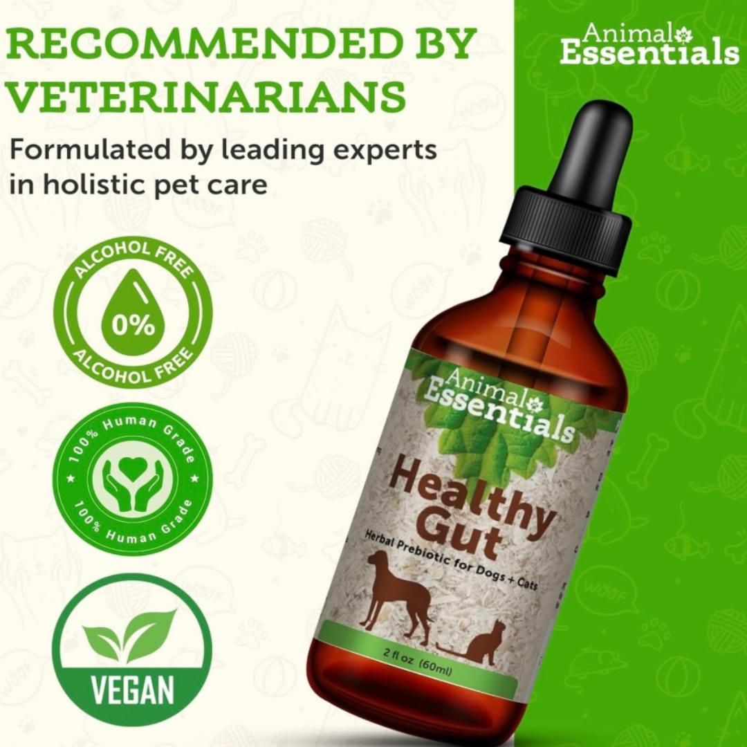 Animal Essentials Healthy Gut | Digestive Health + Microbiome Support