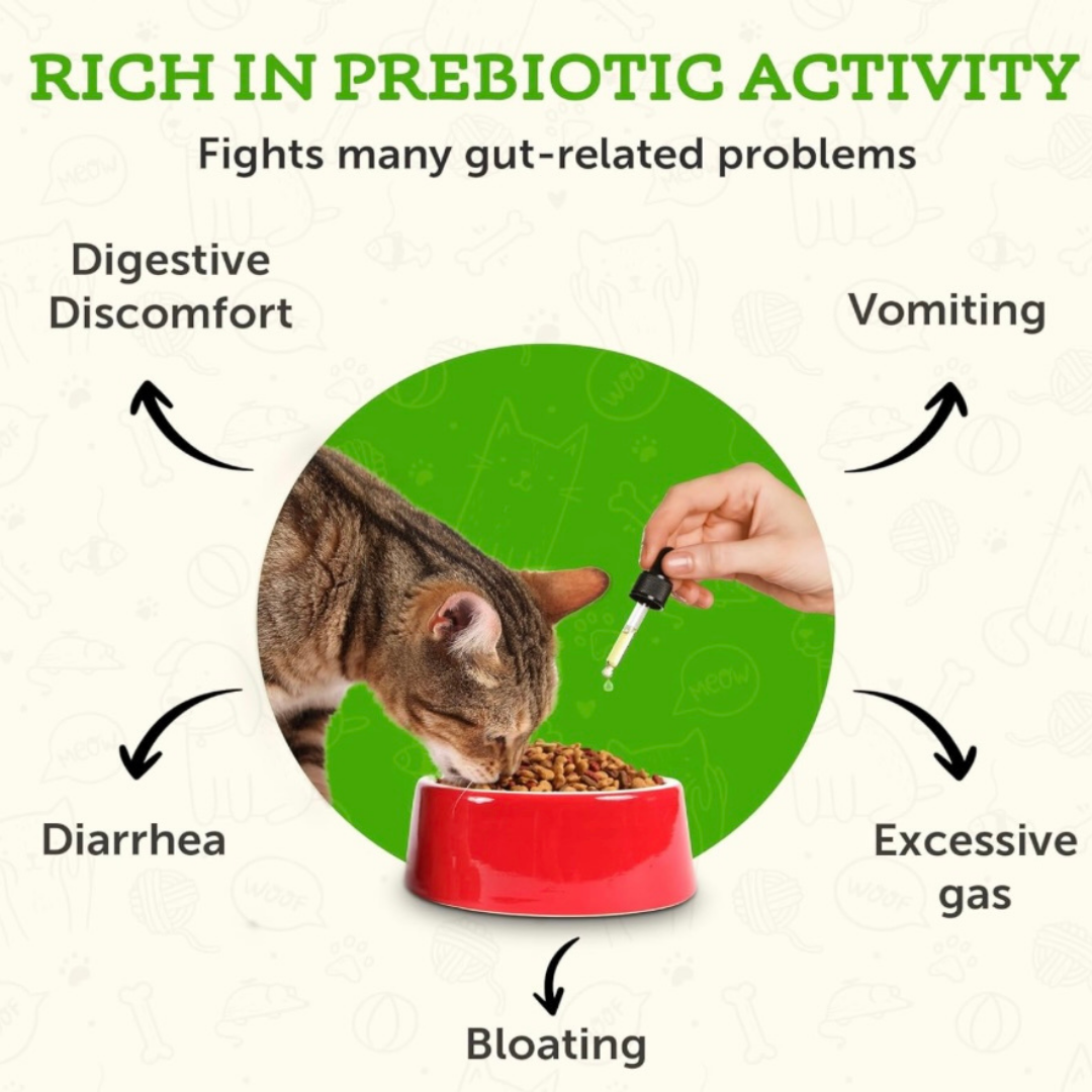Animal Essentials Healthy Gut | Digestive Health + Microbiome Support