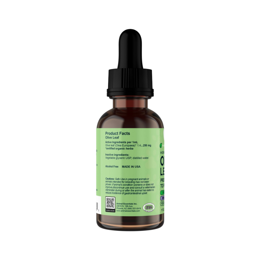 Animal Essentials Olive Leaf | Immune Support + Antimicrobial Defense