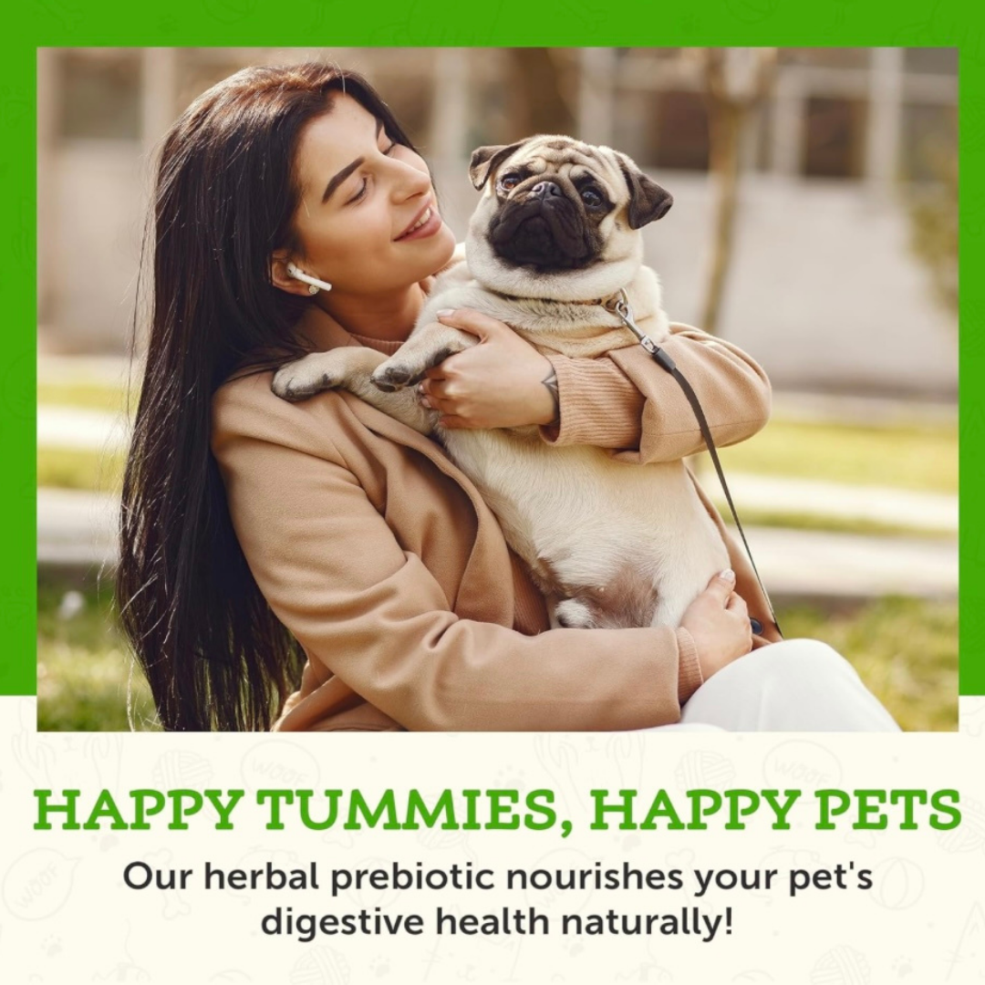 Animal Essentials Healthy Gut | Digestive Health + Microbiome Support
