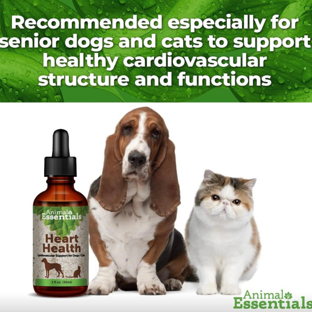 Animal Essentials Heart Health | Natural Cardiovascular Support