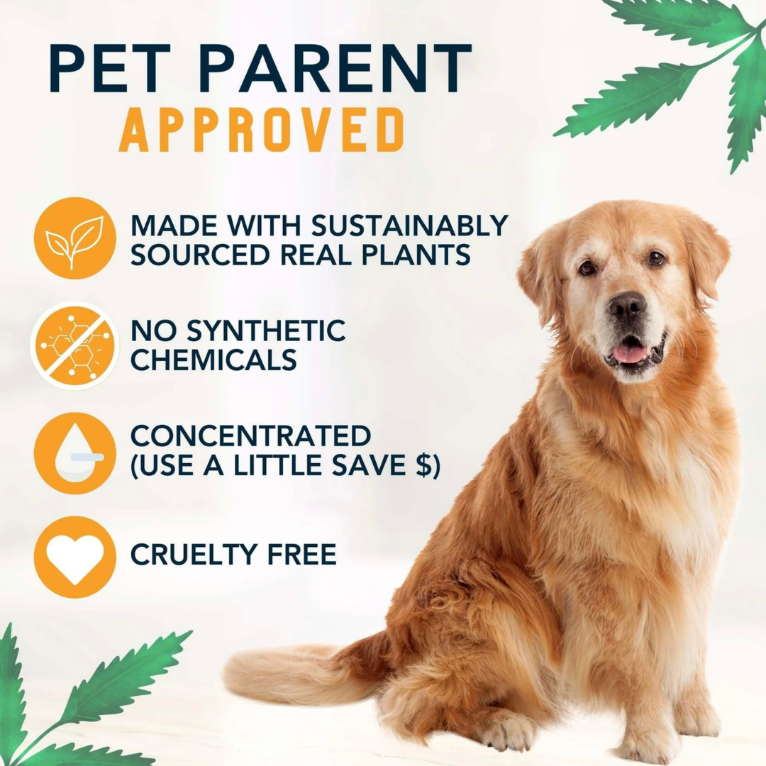 4-Legger Organic Shampoo Revitalize | Neem