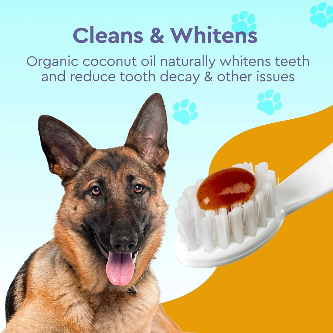 Radius Organic Dog Toothpaste | Natural Dental Care