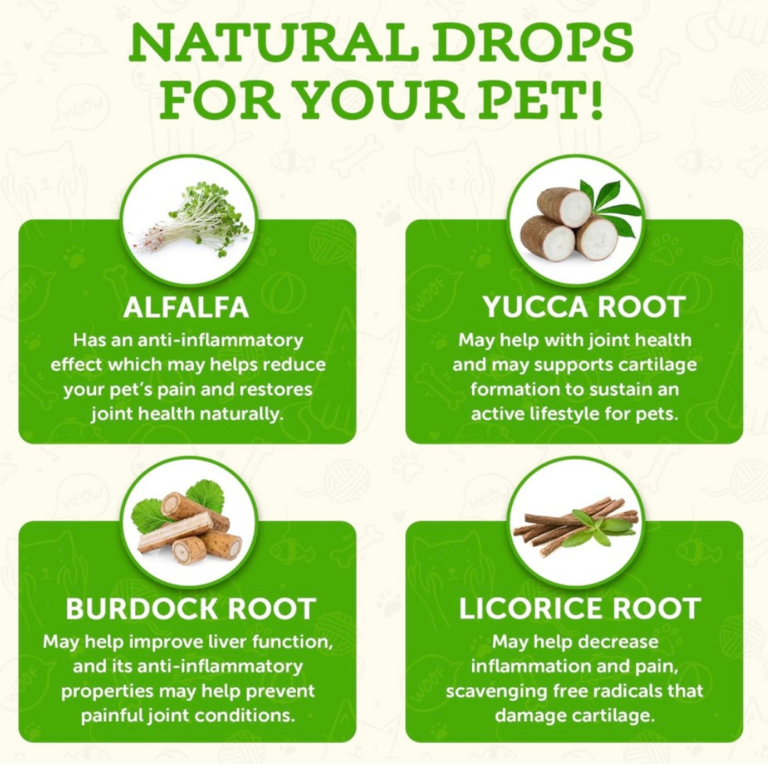 Animal Essentials Joint Support | Natural Mobility + Inflammation Relief