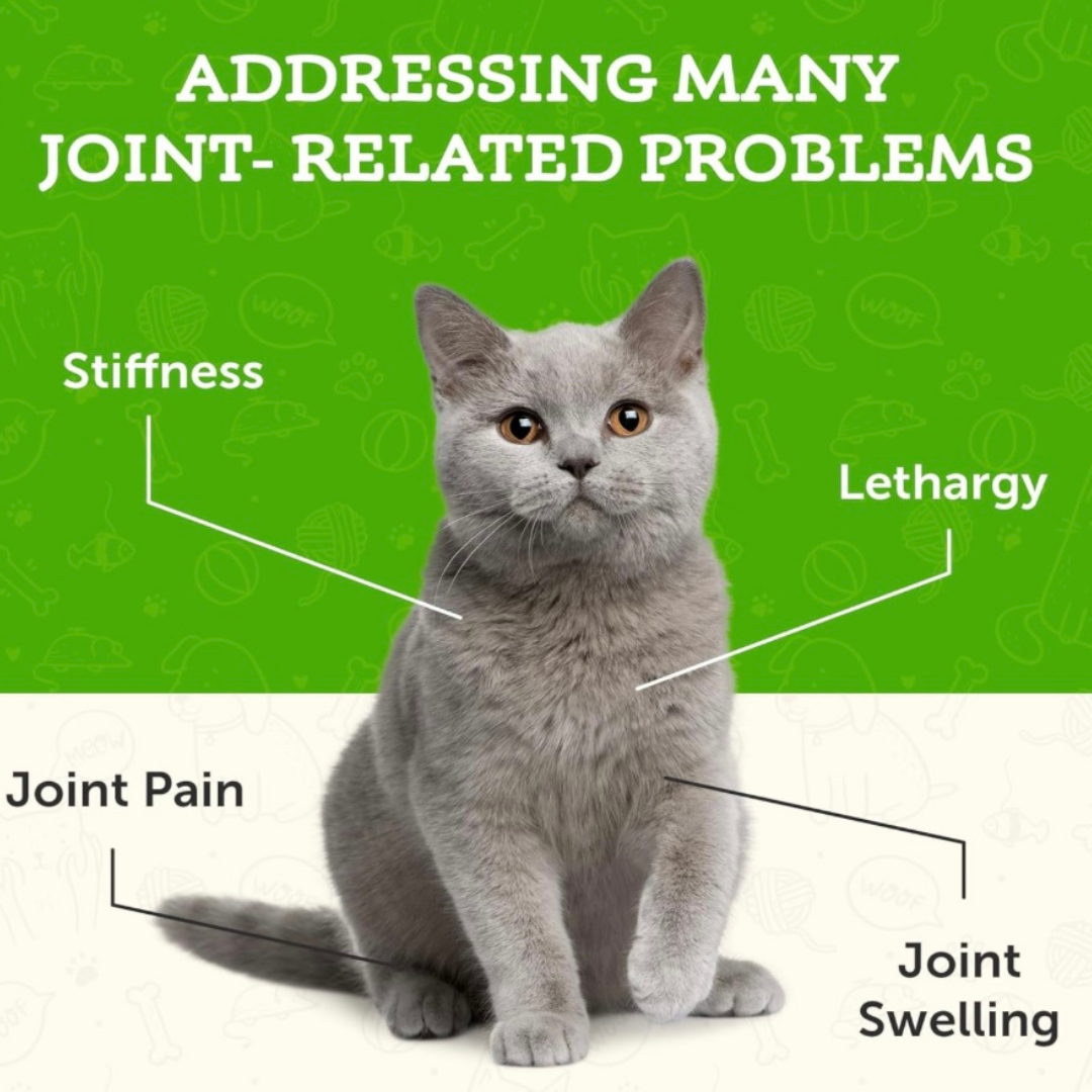 Animal Essentials Joint Support | Natural Mobility + Inflammation Relief