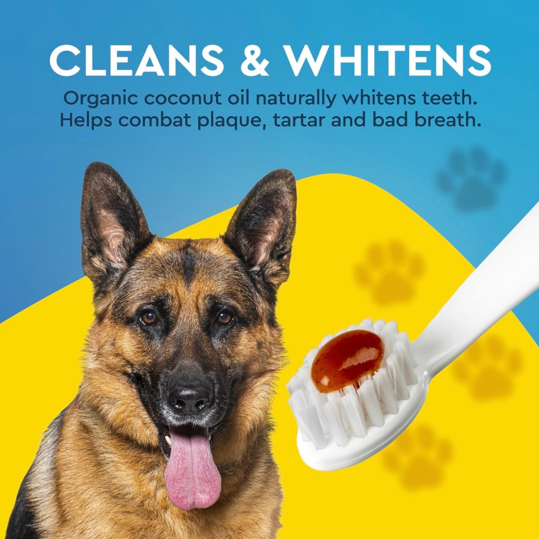 Radius Organic Dog Toothpaste | Natural Dental Care