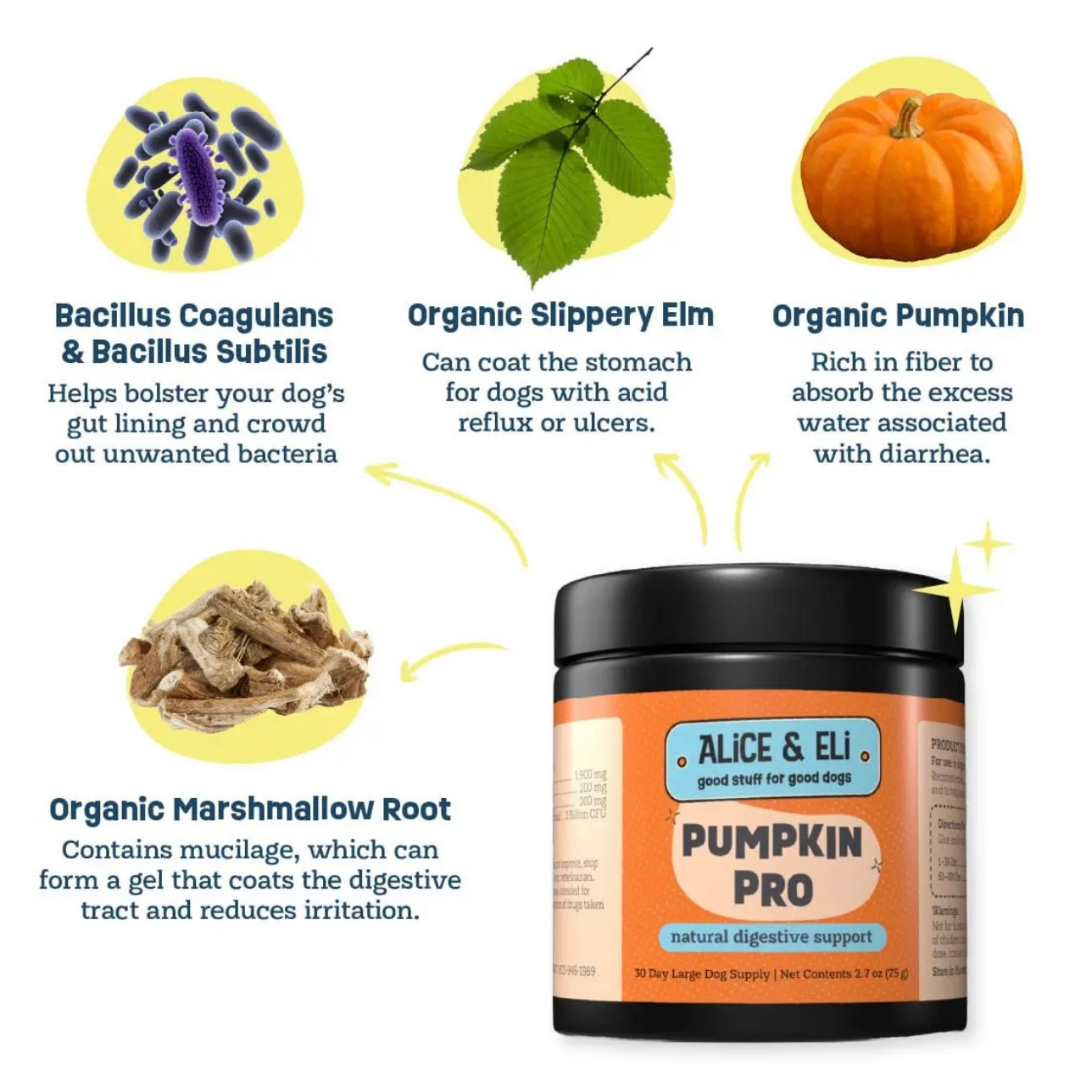Alice & Eli Pumpkin Pro | Digestive Support + Fiber Boost