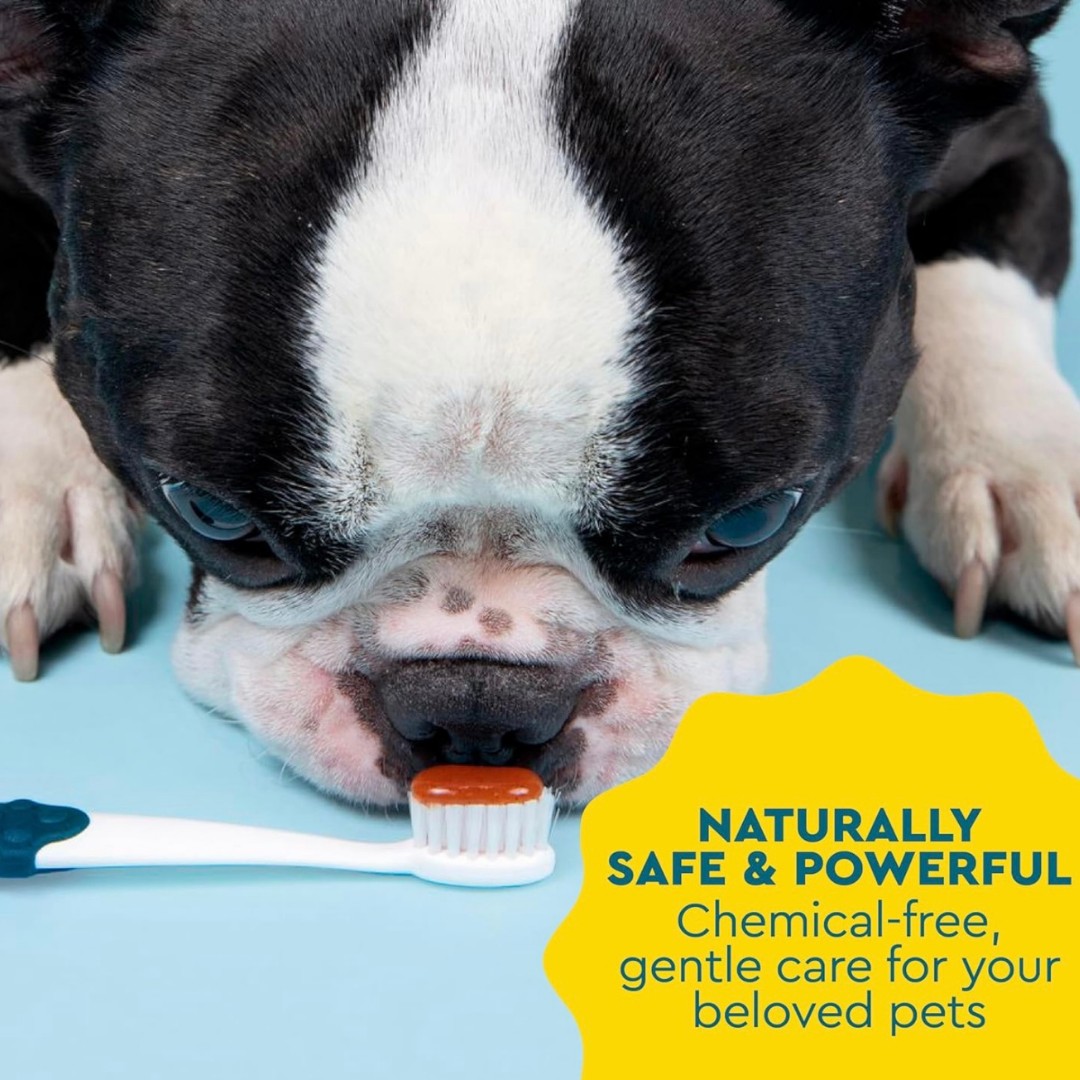 Radius Organic Dog Toothpaste | Natural Dental Care