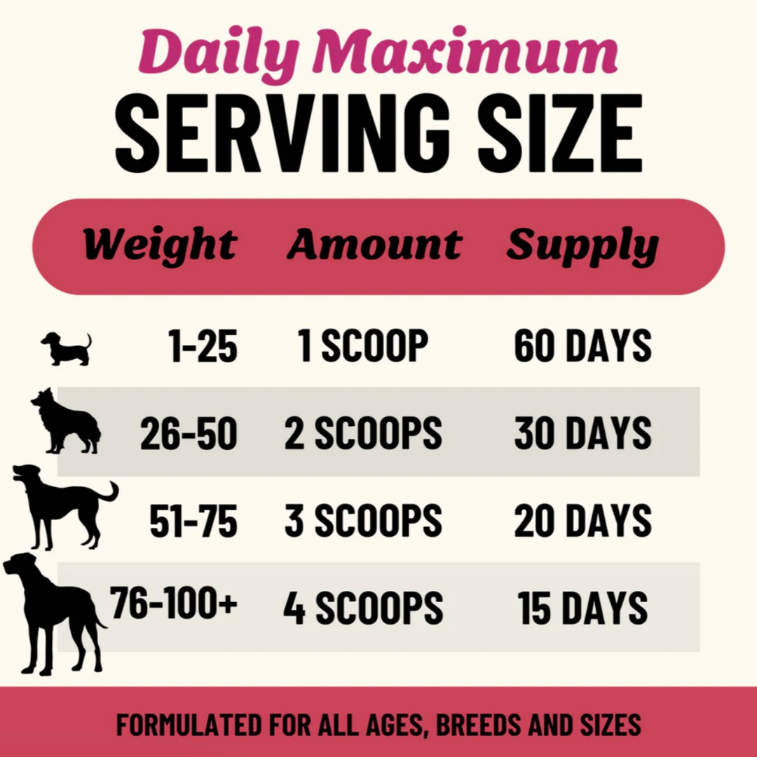 Fido’s Dehydrated Bone Broth Powder | Digestion