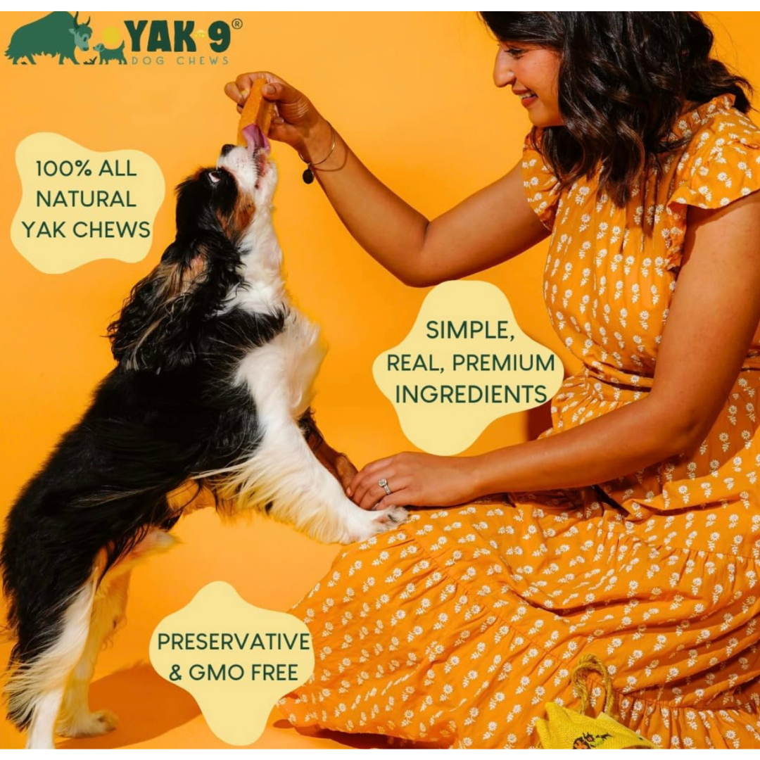 Yak9 Yak Chew | Blueberry