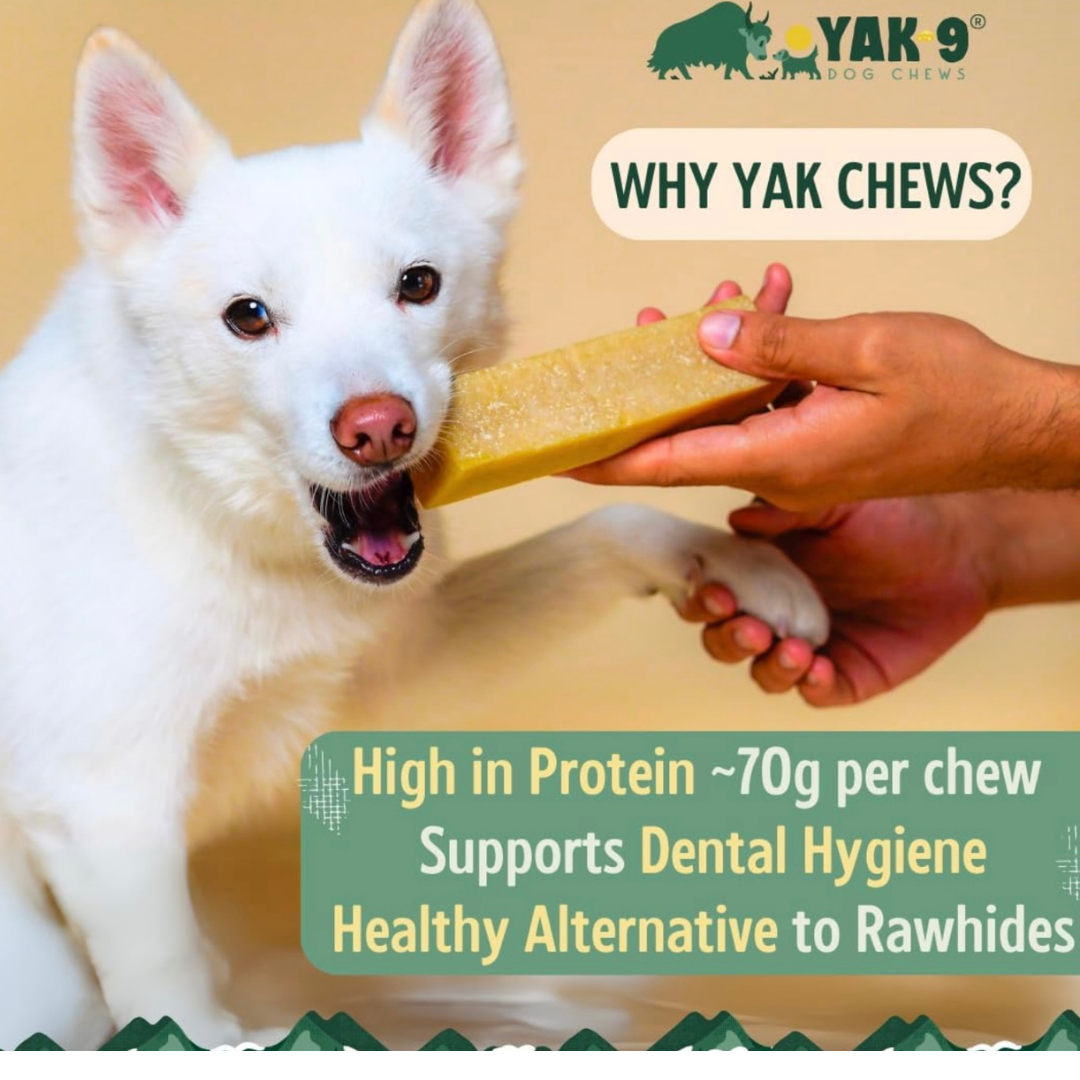 Yak9 Yak Chew | Blueberry