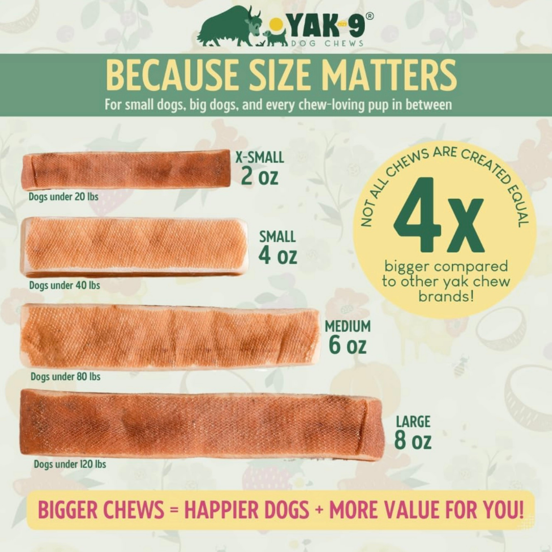 Yak9 Yak Chew | Pumpkin