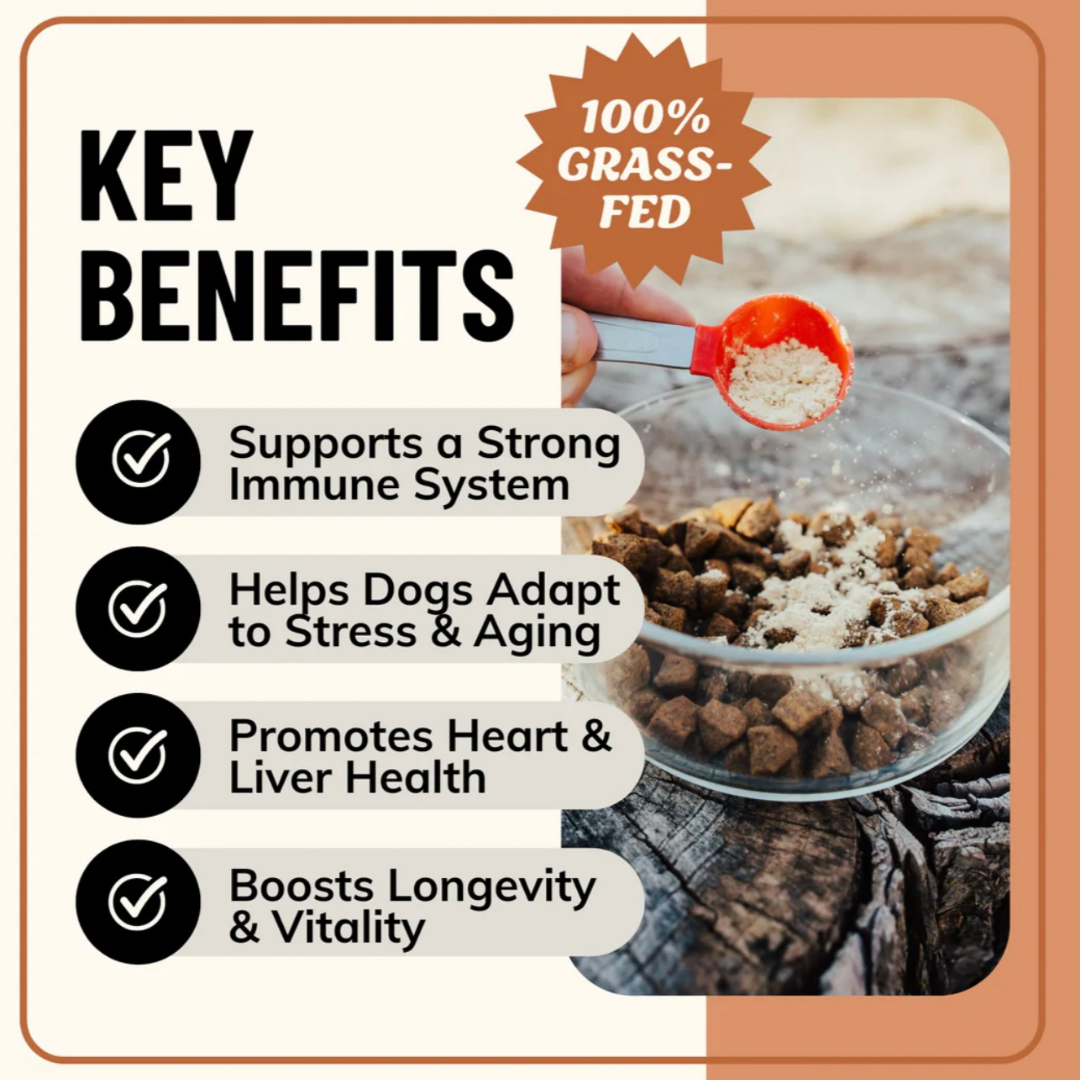Fido’s Dehydrated Bone Broth Powder | Longevity