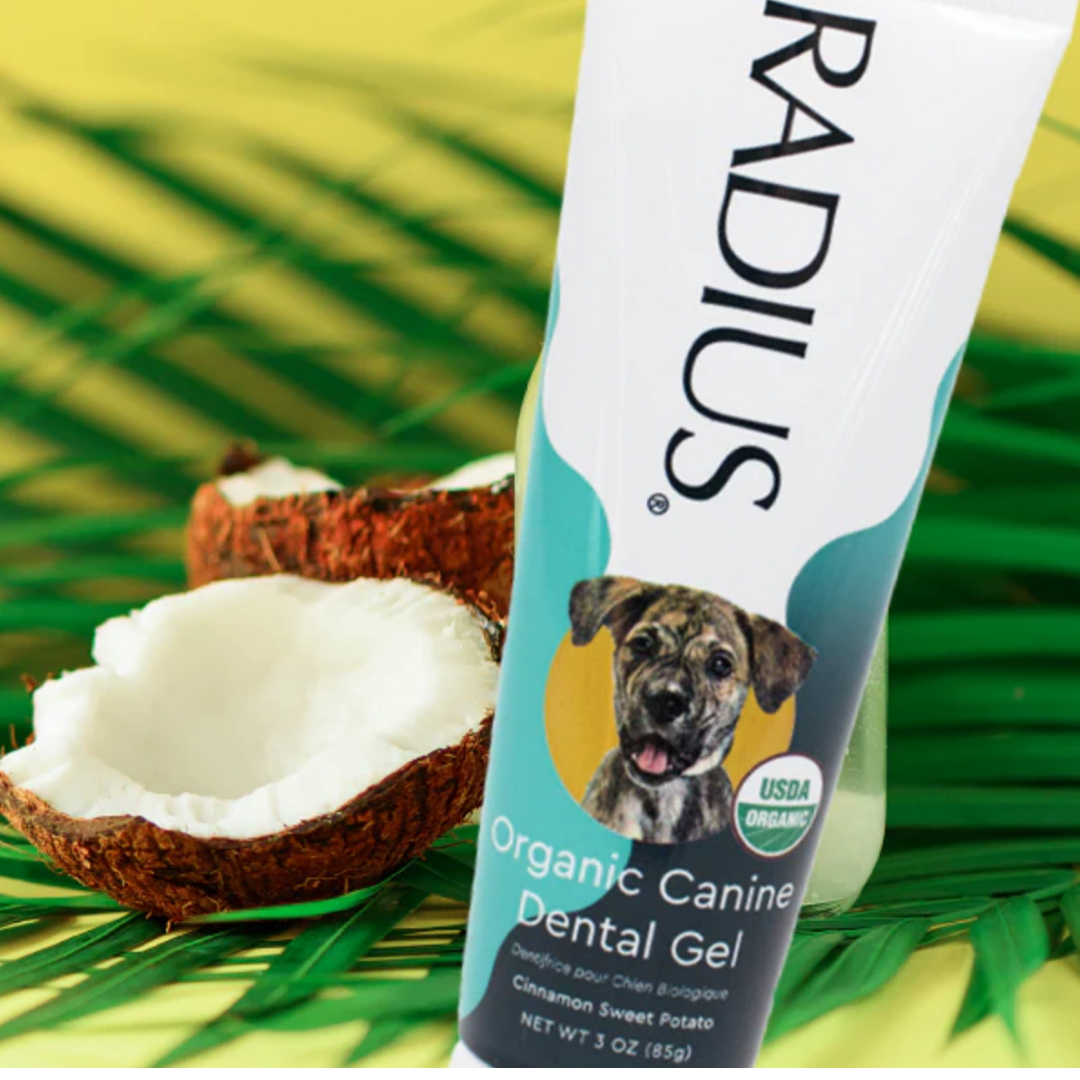 Radius Organic Dog Toothpaste | Natural Dental Care