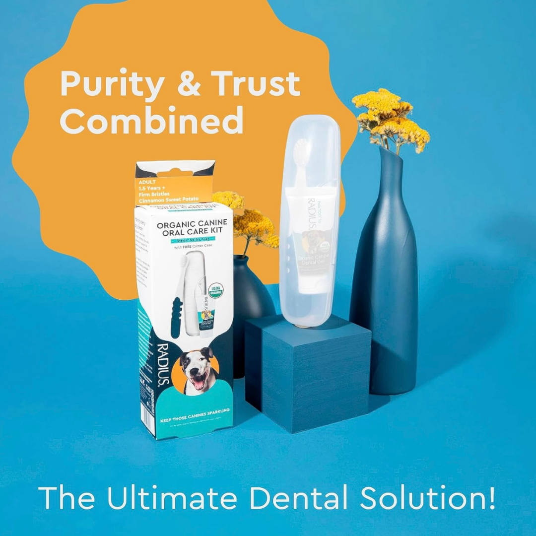Radius Organic Canine Dental Kit | Adult