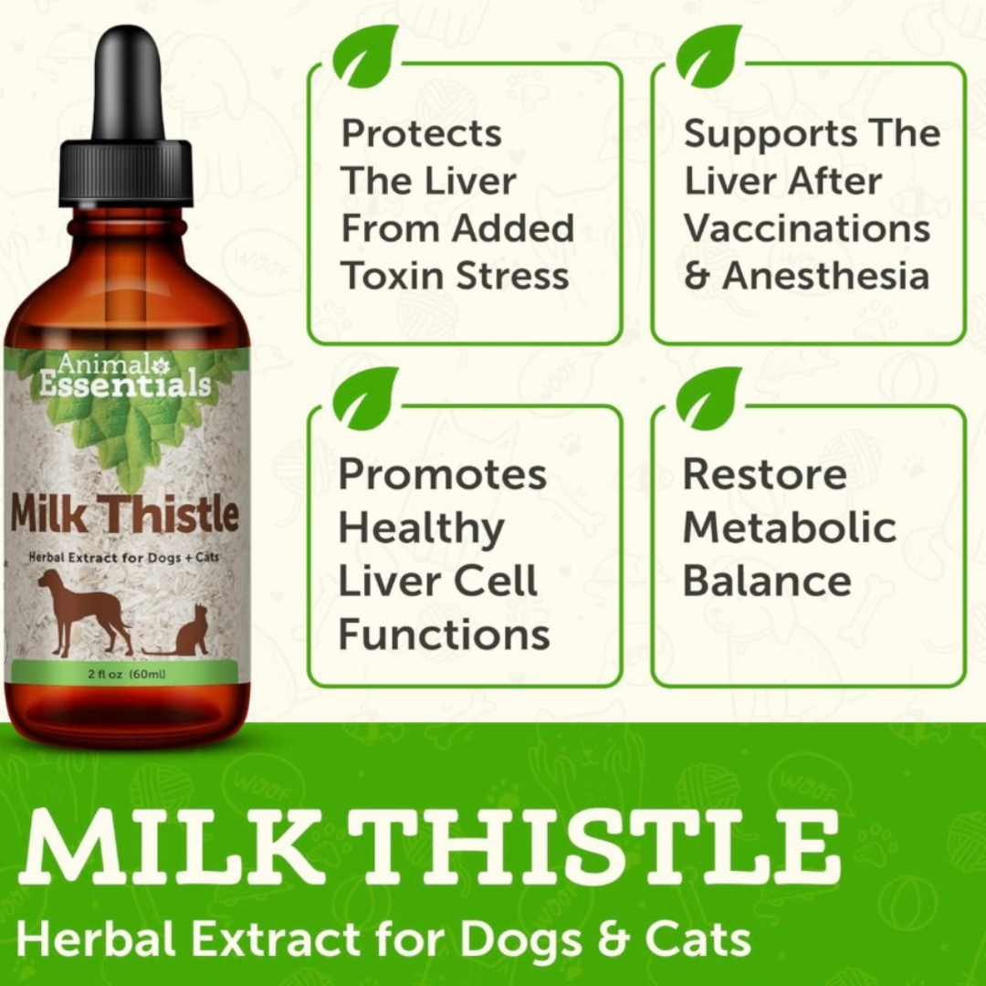 Animal Essentials Milk Thistle | Natural Liver Detox