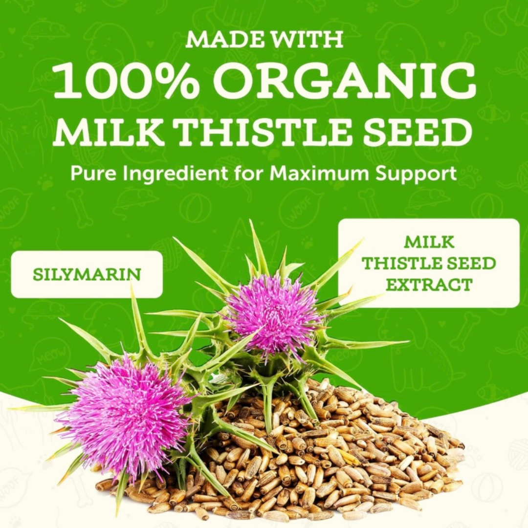 Animal Essentials Milk Thistle | Natural Liver Detox