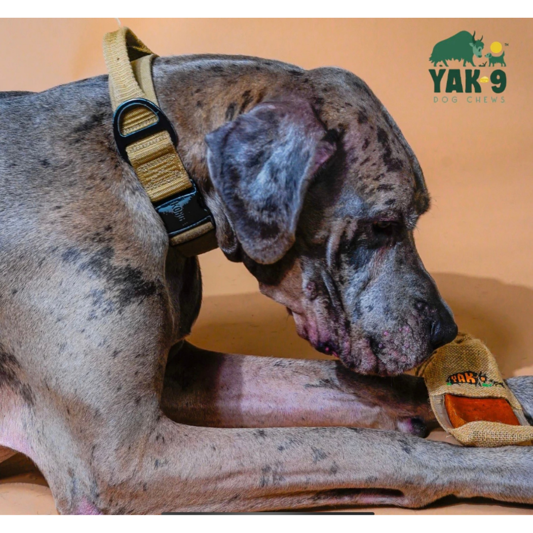 Yak9 100% Yak Milk Chew