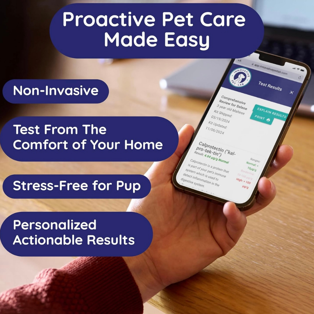 Innovative Pet Lab Comprehensive Review Test | At-Home Dog Health Testing